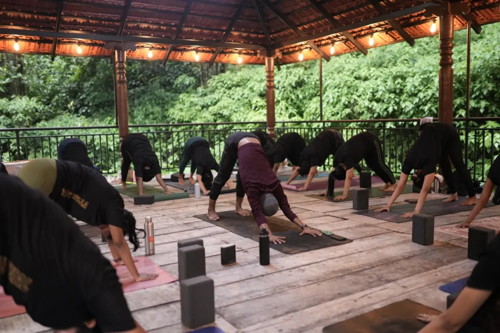 Hatha Yoga Structure Guide 2025